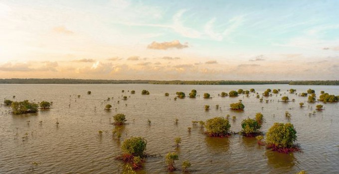 Översvämmat landskap.