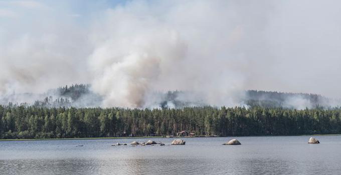 Skogsbrand i bakgrunden av en sjö.