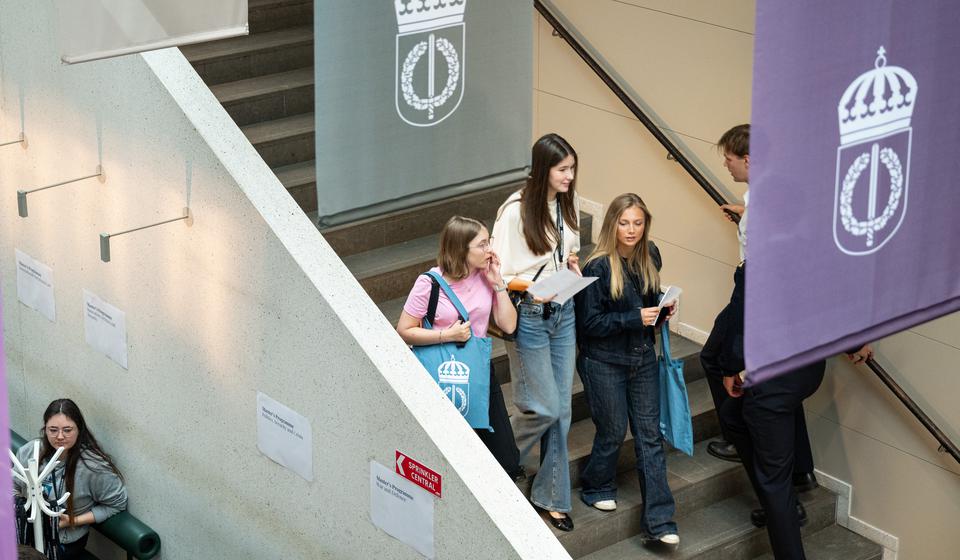 Students in the stairway at the SEDU.