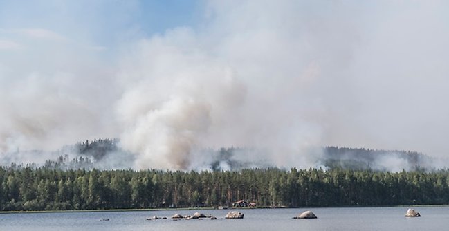 Skogsbrand i Kårböle.