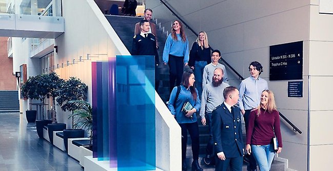 A group of people walking down a flight of stairs.