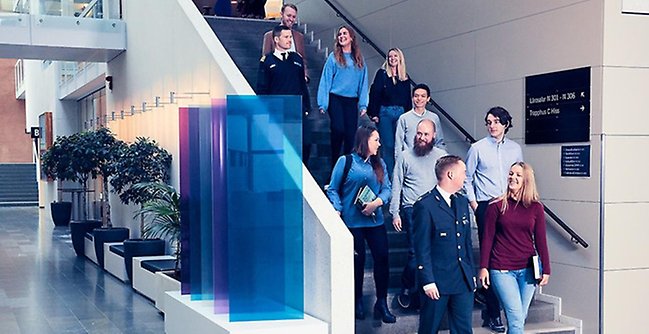 A group of people walking down a flight of stairs.